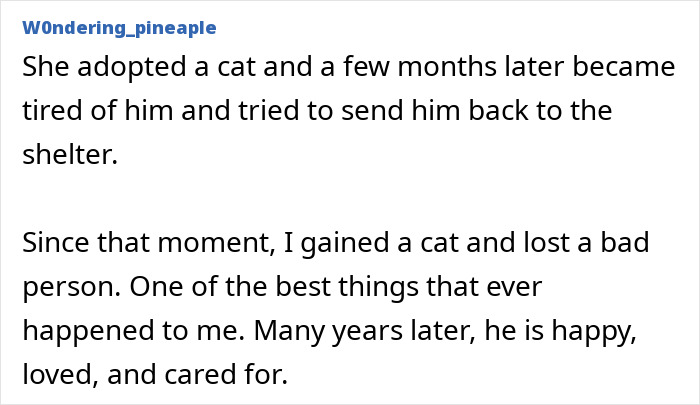 &ldquo;My Bank Account And My Therapist Are Still Recovering&rdquo;: 47 People Share Red Flags That Made Them End Things