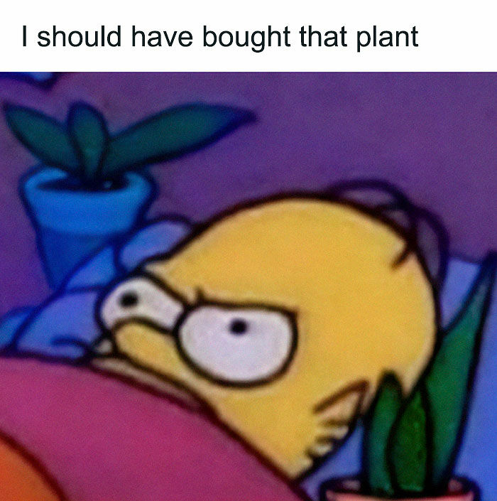 If You&rsquo;re Fluent In Meme Language And Are A Crazy Plant Parent, You May Like These 59 Posts (New Pics)