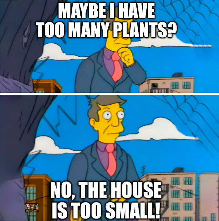 If You&rsquo;re Fluent In Meme Language And Are A Crazy Plant Parent, You May Like These 59 Posts (New Pics)