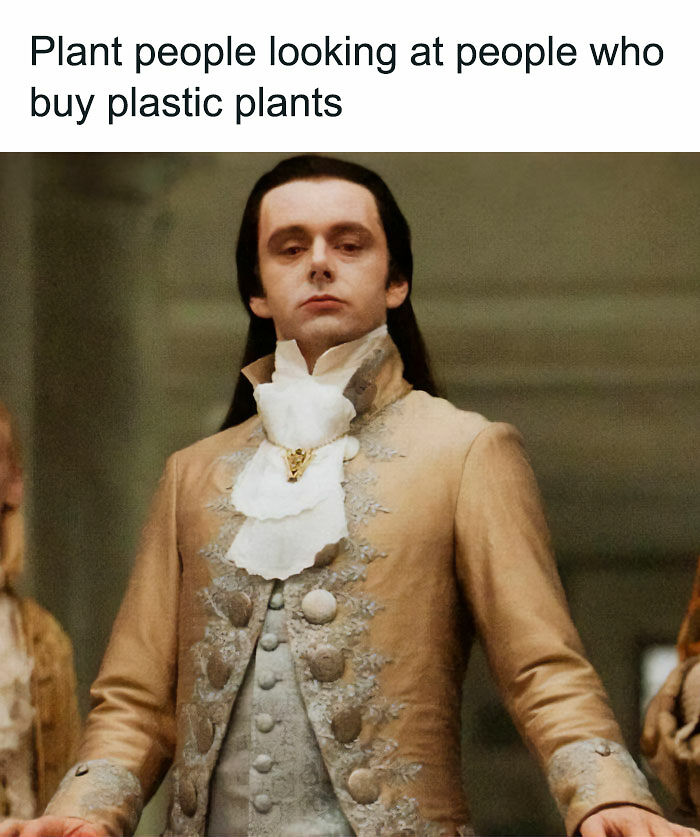 If You&rsquo;re Fluent In Meme Language And Are A Crazy Plant Parent, You May Like These 59 Posts (New Pics)