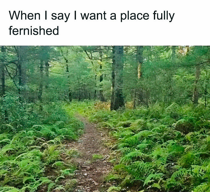 If You&rsquo;re Fluent In Meme Language And Are A Crazy Plant Parent, You May Like These 59 Posts (New Pics)