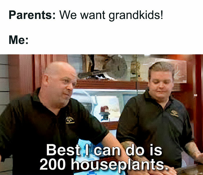 If You&rsquo;re Fluent In Meme Language And Are A Crazy Plant Parent, You May Like These 59 Posts (New Pics)