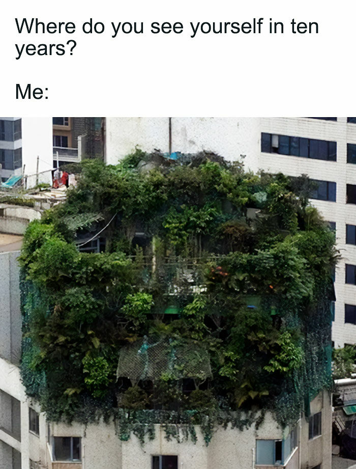 If You&rsquo;re Fluent In Meme Language And Are A Crazy Plant Parent, You May Like These 59 Posts (New Pics)