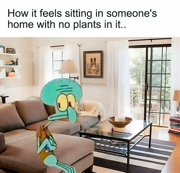 If You&rsquo;re Fluent In Meme Language And Are A Crazy Plant Parent, You May Like These 59 Posts (New Pics)