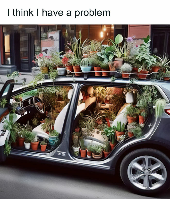 If You&rsquo;re Fluent In Meme Language And Are A Crazy Plant Parent, You May Like These 59 Posts (New Pics)
