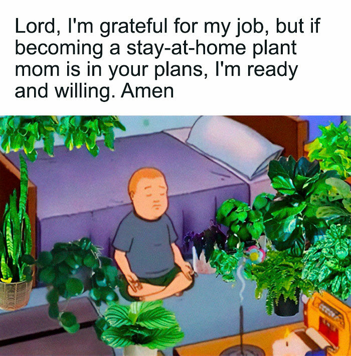 If You&rsquo;re Fluent In Meme Language And Are A Crazy Plant Parent, You May Like These 59 Posts (New Pics)