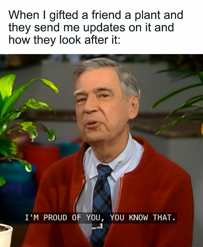 If You&rsquo;re Fluent In Meme Language And Are A Crazy Plant Parent, You May Like These 59 Posts (New Pics)