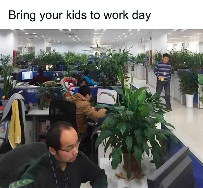 If You&rsquo;re Fluent In Meme Language And Are A Crazy Plant Parent, You May Like These 59 Posts (New Pics)