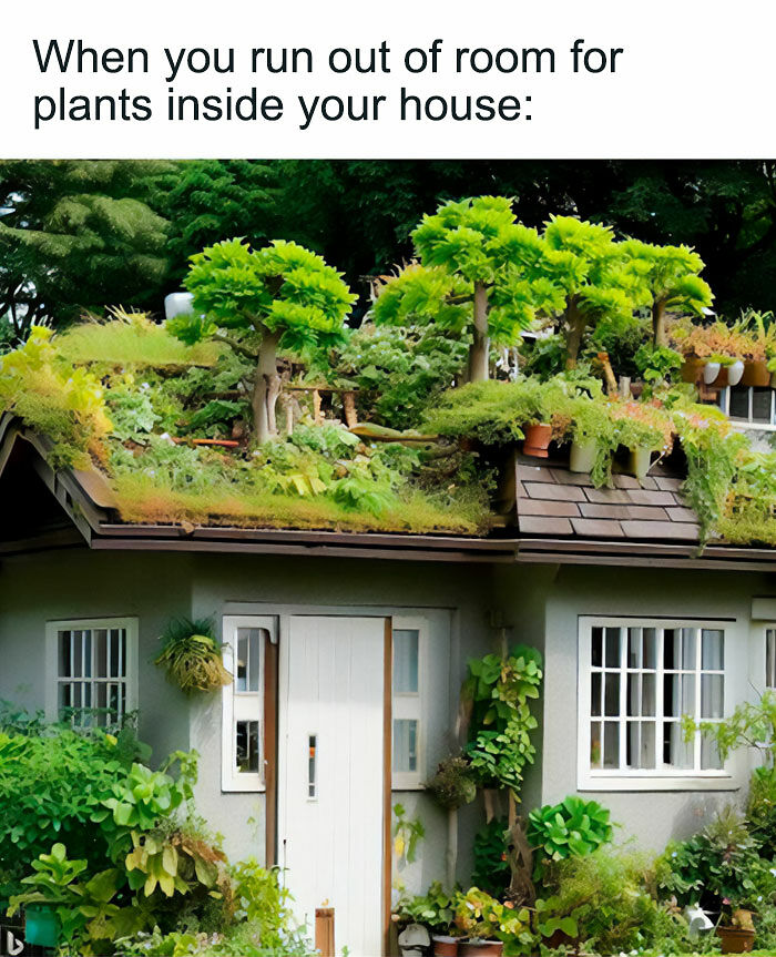If You&rsquo;re Fluent In Meme Language And Are A Crazy Plant Parent, You May Like These 59 Posts (New Pics)