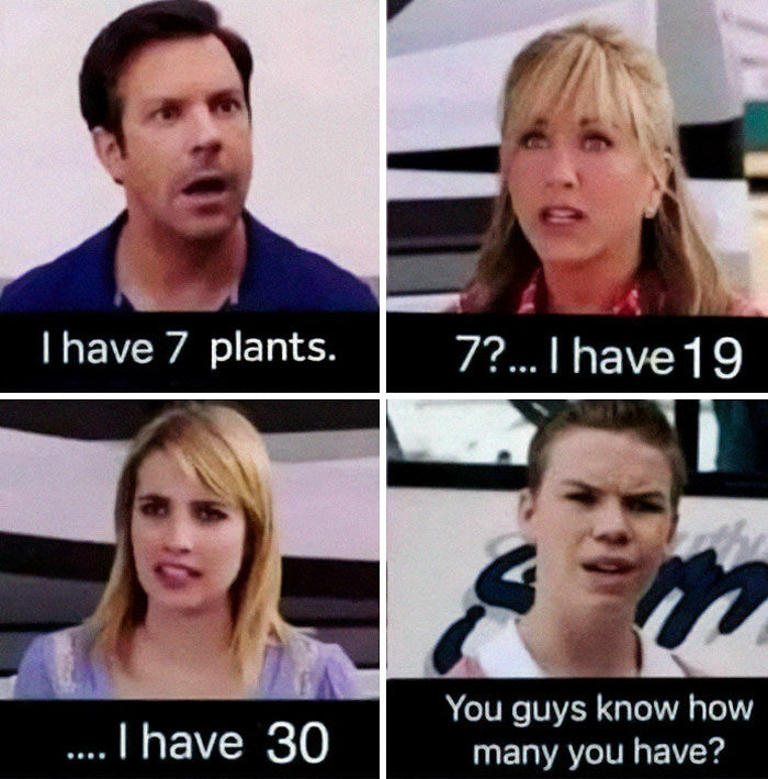 If You&rsquo;re Fluent In Meme Language And Are A Crazy Plant Parent, You May Like These 59 Posts (New Pics)