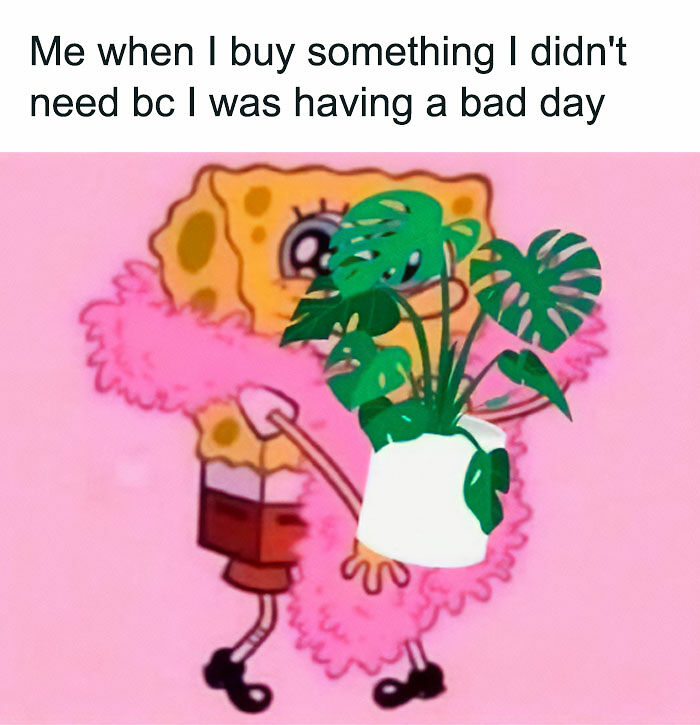 If You&rsquo;re Fluent In Meme Language And Are A Crazy Plant Parent, You May Like These 59 Posts (New Pics)