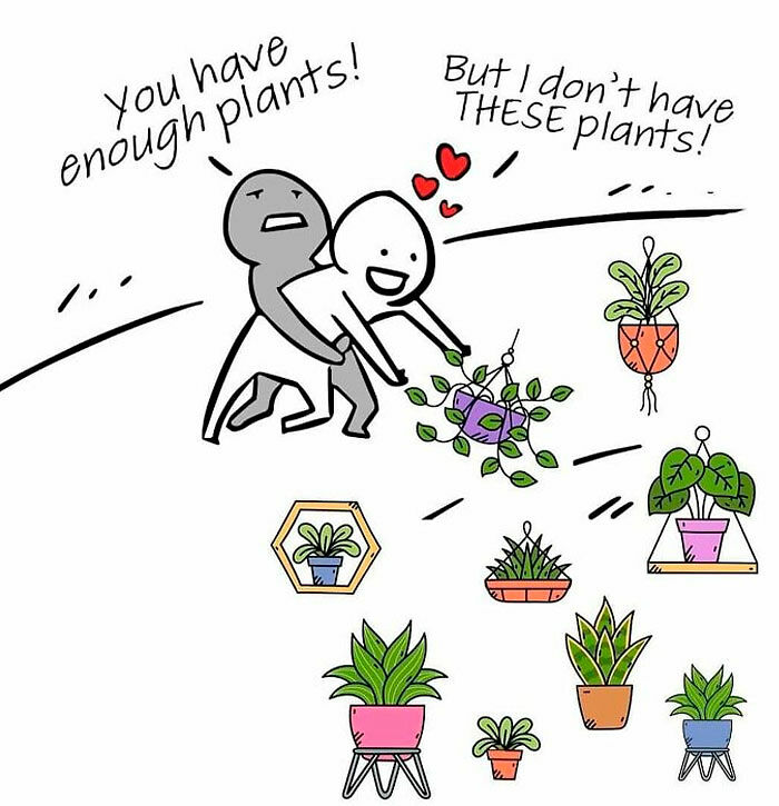 If You&rsquo;re Fluent In Meme Language And Are A Crazy Plant Parent, You May Like These 59 Posts (New Pics)
