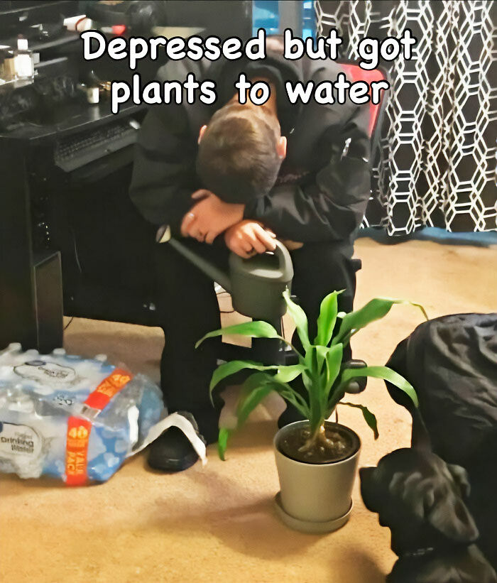 If You&rsquo;re Fluent In Meme Language And Are A Crazy Plant Parent, You May Like These 59 Posts (New Pics)