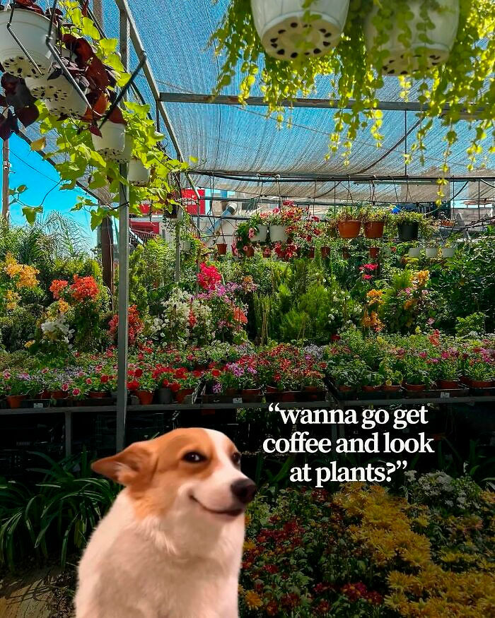 If You&rsquo;re Fluent In Meme Language And Are A Crazy Plant Parent, You May Like These 59 Posts (New Pics)