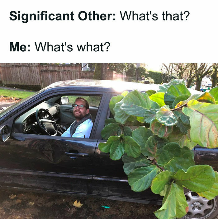 If You&rsquo;re Fluent In Meme Language And Are A Crazy Plant Parent, You May Like These 59 Posts (New Pics)