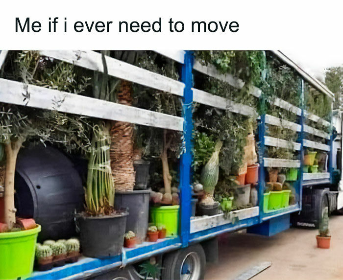 If You&rsquo;re Fluent In Meme Language And Are A Crazy Plant Parent, You May Like These 59 Posts (New Pics)