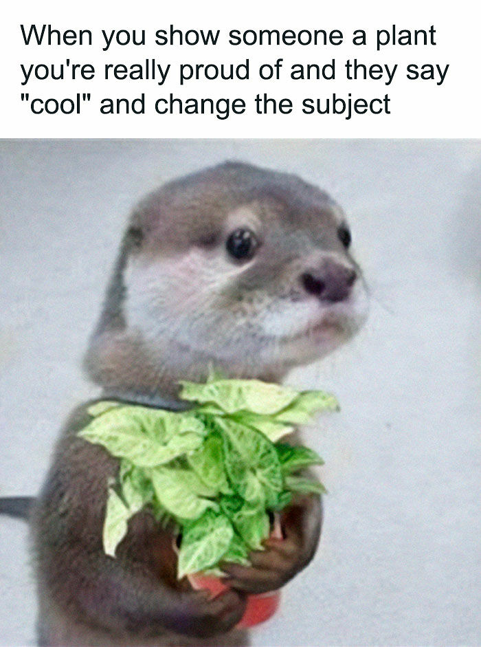If You&rsquo;re Fluent In Meme Language And Are A Crazy Plant Parent, You May Like These 59 Posts (New Pics)