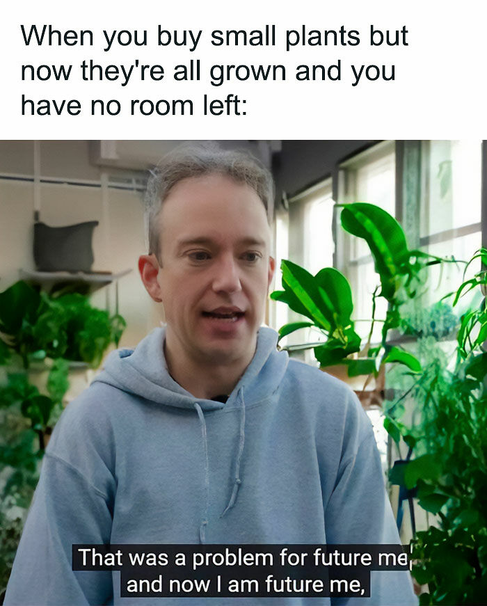 If You&rsquo;re Fluent In Meme Language And Are A Crazy Plant Parent, You May Like These 59 Posts (New Pics)