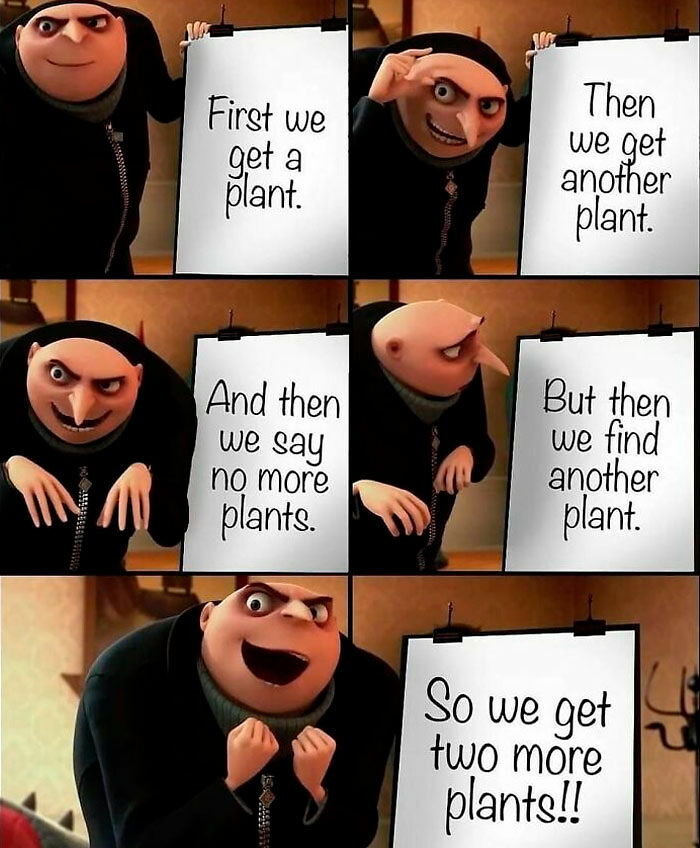 If You&rsquo;re Fluent In Meme Language And Are A Crazy Plant Parent, You May Like These 59 Posts (New Pics)