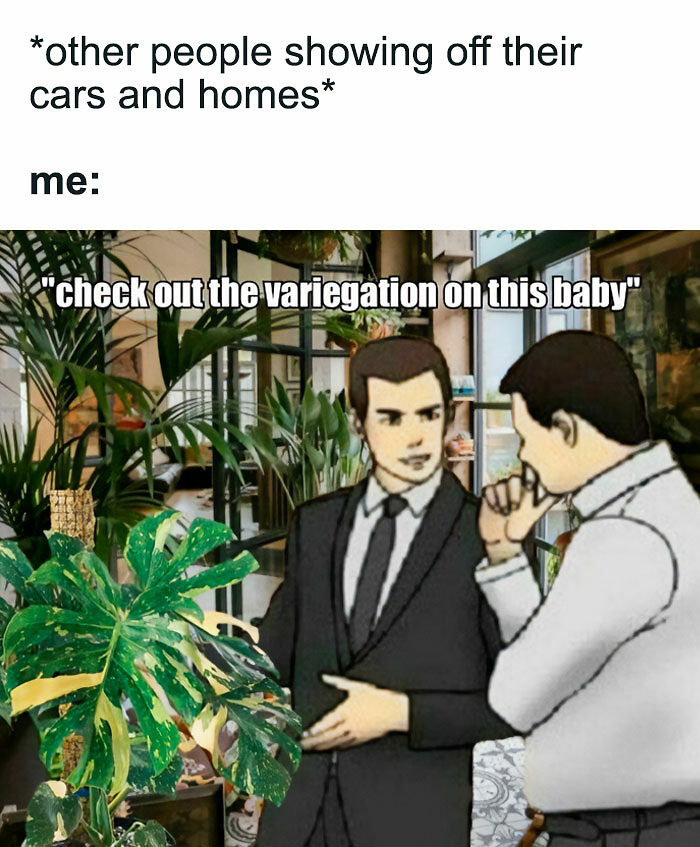 If You&rsquo;re Fluent In Meme Language And Are A Crazy Plant Parent, You May Like These 59 Posts (New Pics)
