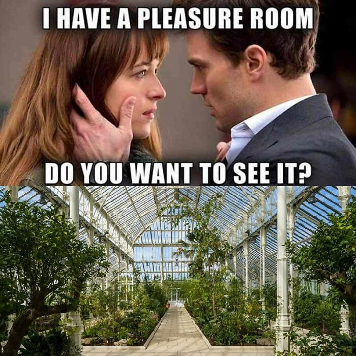 If You&rsquo;re Fluent In Meme Language And Are A Crazy Plant Parent, You May Like These 59 Posts (New Pics)