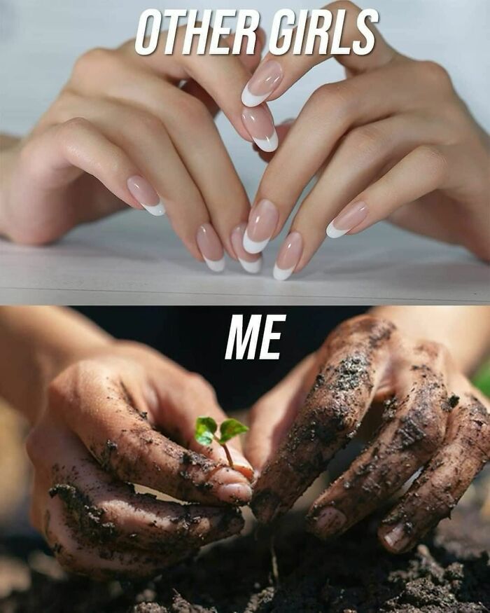 If You&rsquo;re Fluent In Meme Language And Are A Crazy Plant Parent, You May Like These 59 Posts (New Pics)
