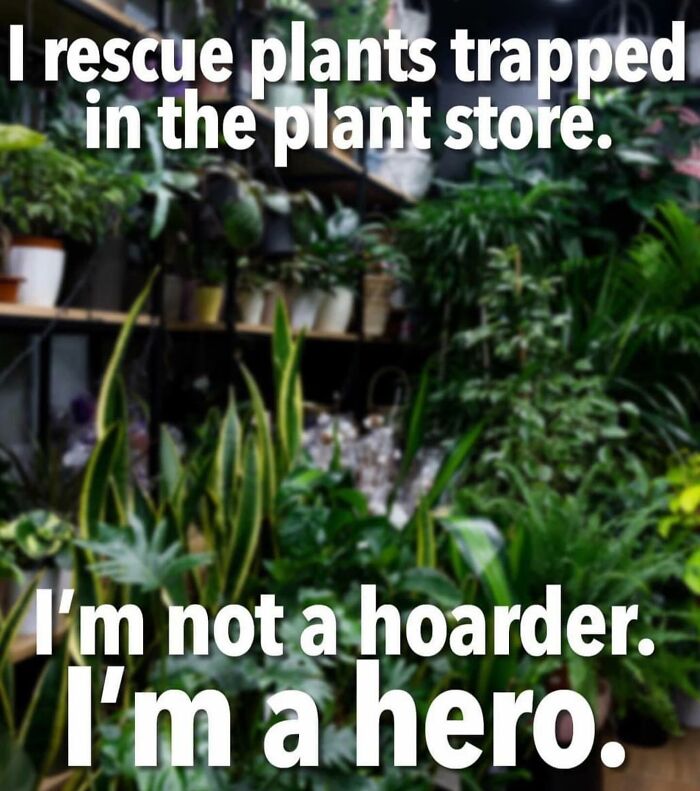 If You&rsquo;re Fluent In Meme Language And Are A Crazy Plant Parent, You May Like These 59 Posts (New Pics)