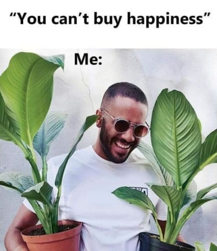 If You&rsquo;re Fluent In Meme Language And Are A Crazy Plant Parent, You May Like These 59 Posts (New Pics)