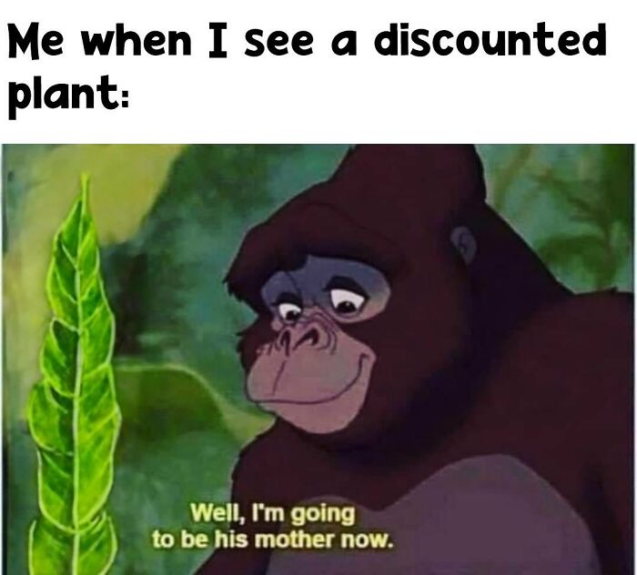 If You&rsquo;re Fluent In Meme Language And Are A Crazy Plant Parent, You May Like These 59 Posts (New Pics)