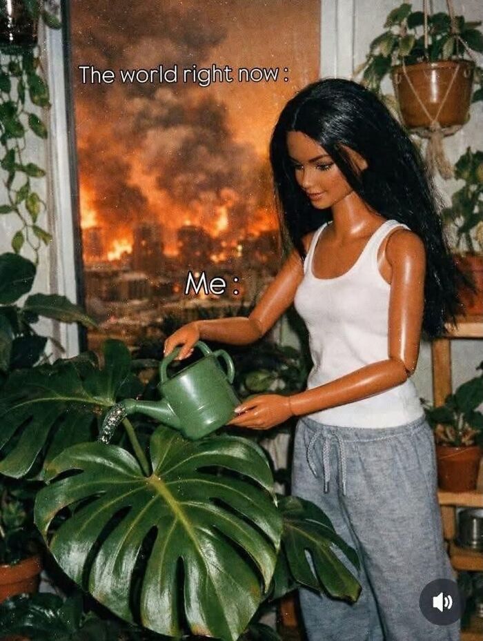 If You&rsquo;re Fluent In Meme Language And Are A Crazy Plant Parent, You May Like These 59 Posts (New Pics)