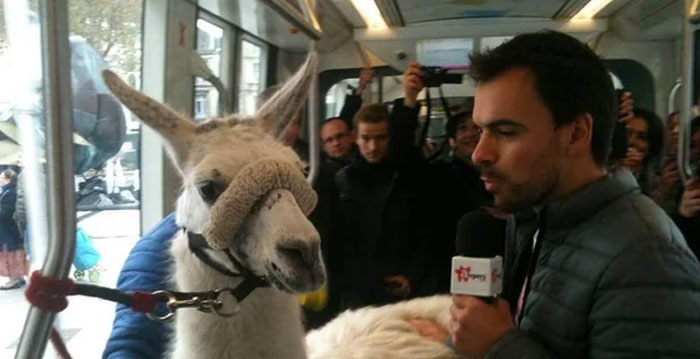 54 People From Different Nations Share Their Coolest Animal Photos For Your Good Vibes Today
