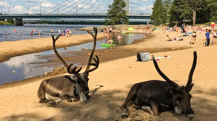 54 People From Different Nations Share Their Coolest Animal Photos For Your Good Vibes Today