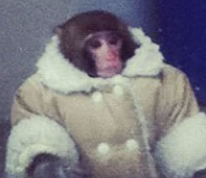 54 People From Different Nations Share Their Coolest Animal Photos For Your Good Vibes Today