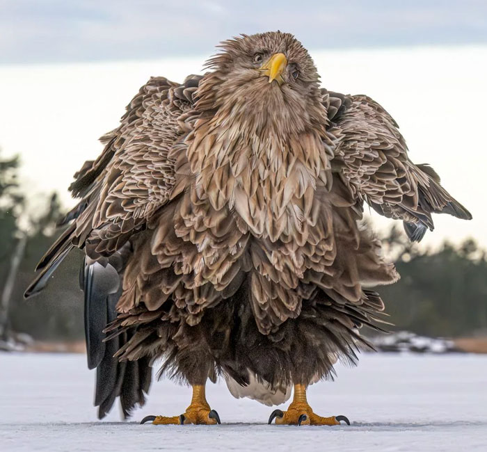 54 People From Different Nations Share Their Coolest Animal Photos For Your Good Vibes Today