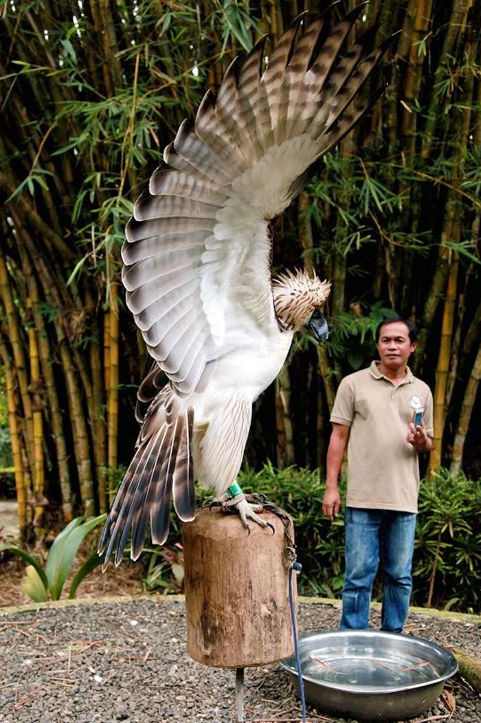 54 People From Different Nations Share Their Coolest Animal Photos For Your Good Vibes Today