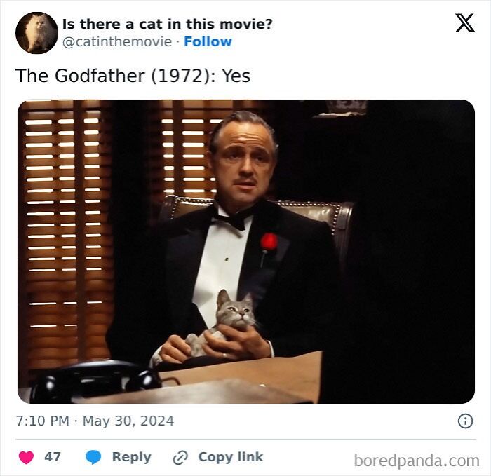 This X Page Tracks Every Cat In Cinema, Here Are 83 You Probably Didn&rsquo;t Notice