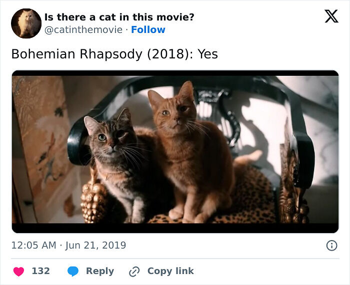 This X Page Tracks Every Cat In Cinema, Here Are 83 You Probably Didn&rsquo;t Notice