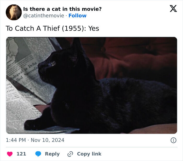 This X Page Tracks Every Cat In Cinema, Here Are 83 You Probably Didn&rsquo;t Notice
