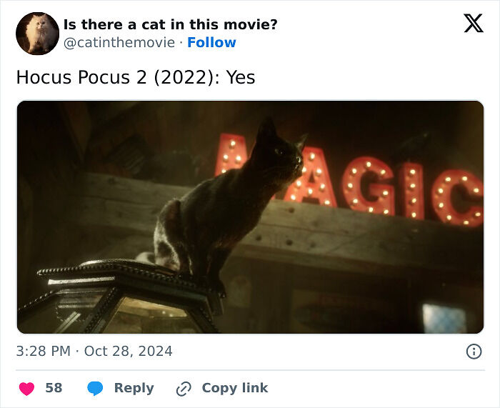 This X Page Tracks Every Cat In Cinema, Here Are 83 You Probably Didn&rsquo;t Notice