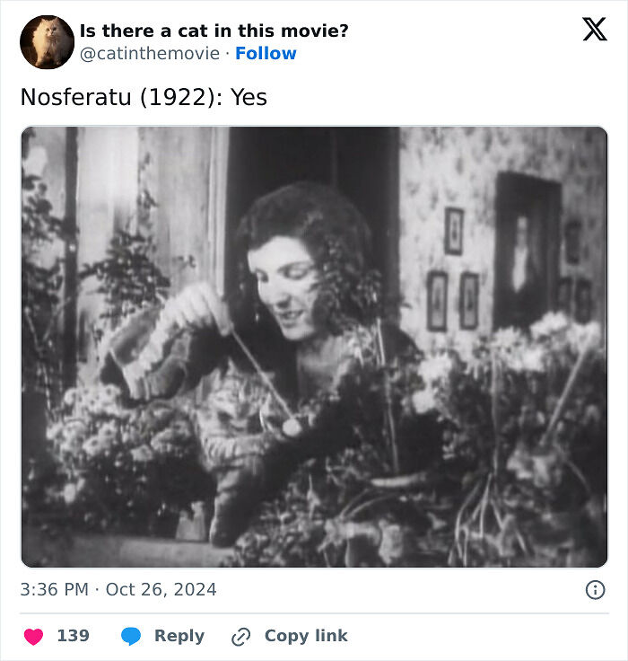 This X Page Tracks Every Cat In Cinema, Here Are 83 You Probably Didn&rsquo;t Notice