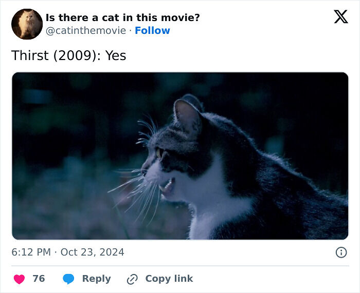 This X Page Tracks Every Cat In Cinema, Here Are 83 You Probably Didn&rsquo;t Notice