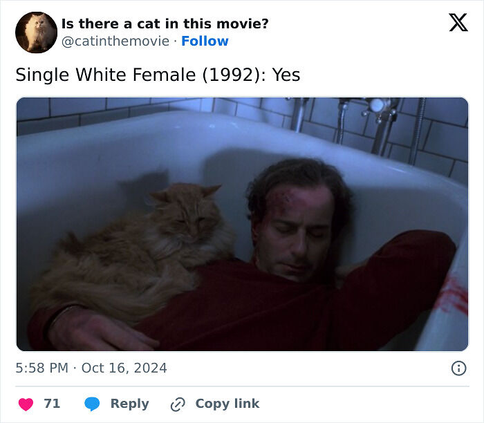 This X Page Tracks Every Cat In Cinema, Here Are 83 You Probably Didn&rsquo;t Notice