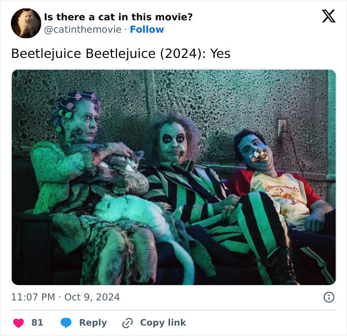 This X Page Tracks Every Cat In Cinema, Here Are 83 You Probably Didn&rsquo;t Notice