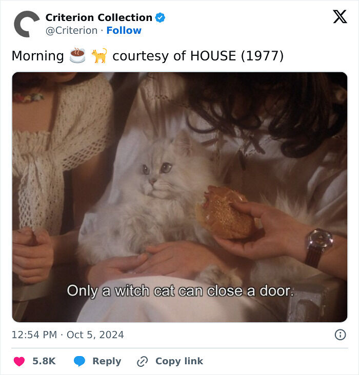 This X Page Tracks Every Cat In Cinema, Here Are 83 You Probably Didn&rsquo;t Notice