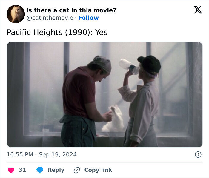 This X Page Tracks Every Cat In Cinema, Here Are 83 You Probably Didn&rsquo;t Notice