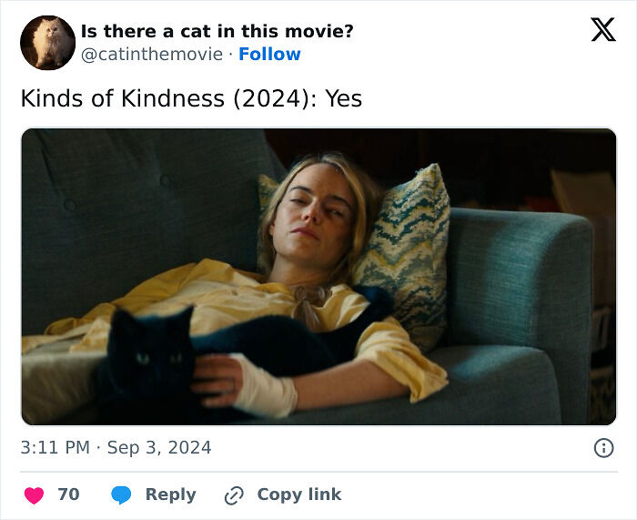 This X Page Tracks Every Cat In Cinema, Here Are 83 You Probably Didn&rsquo;t Notice