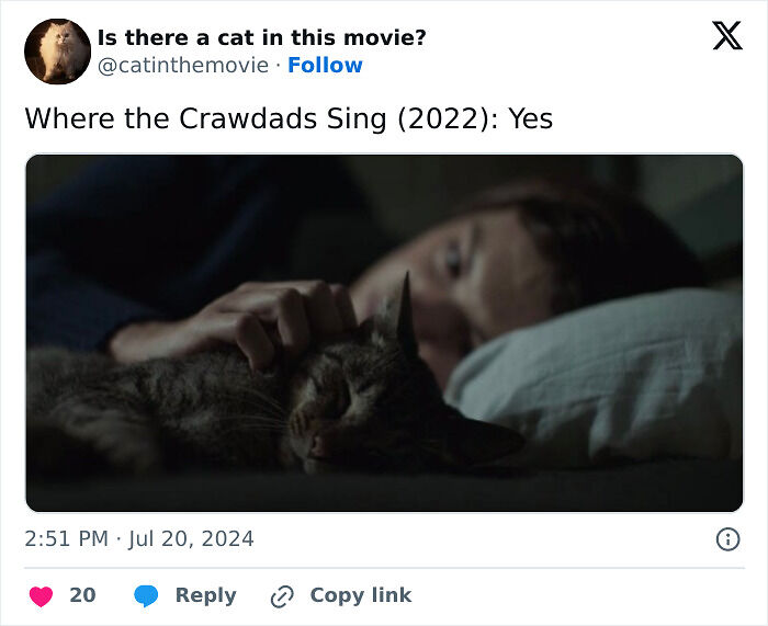 This X Page Tracks Every Cat In Cinema, Here Are 83 You Probably Didn&rsquo;t Notice