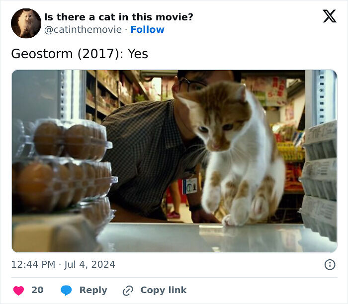 This X Page Tracks Every Cat In Cinema, Here Are 83 You Probably Didn&rsquo;t Notice