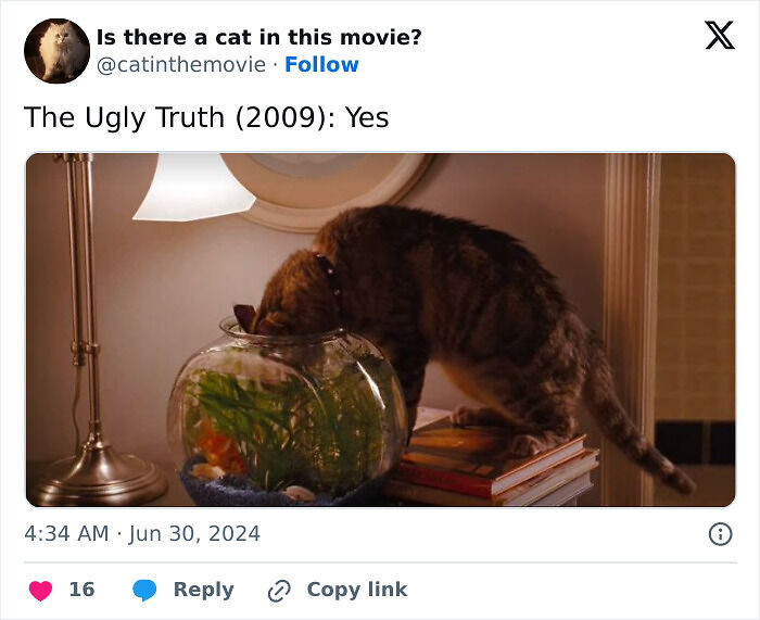 This X Page Tracks Every Cat In Cinema, Here Are 83 You Probably Didn&rsquo;t Notice