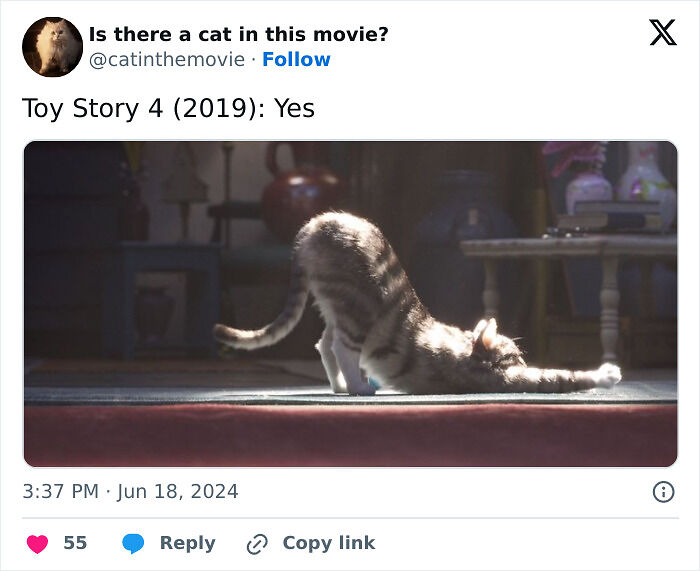 This X Page Tracks Every Cat In Cinema, Here Are 83 You Probably Didn&rsquo;t Notice